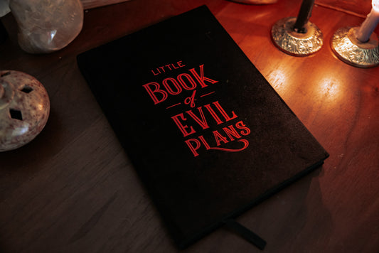 Little Book Of Evil Plans Velvet Notebook